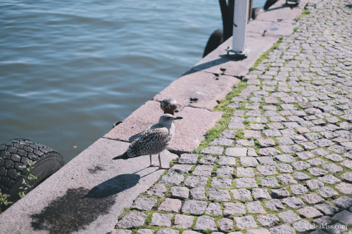 honeymoon, helsinki